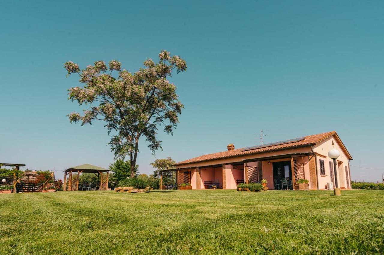 Agriturismo Il Laghetto Grosseto Exterior photo