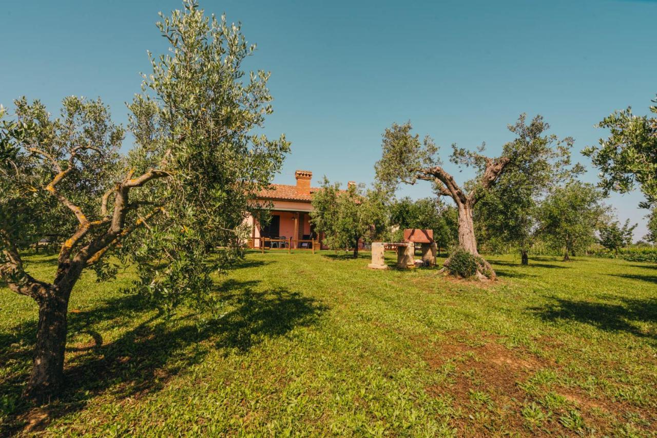 Agriturismo Il Laghetto Villa Grosseto Exterior photo