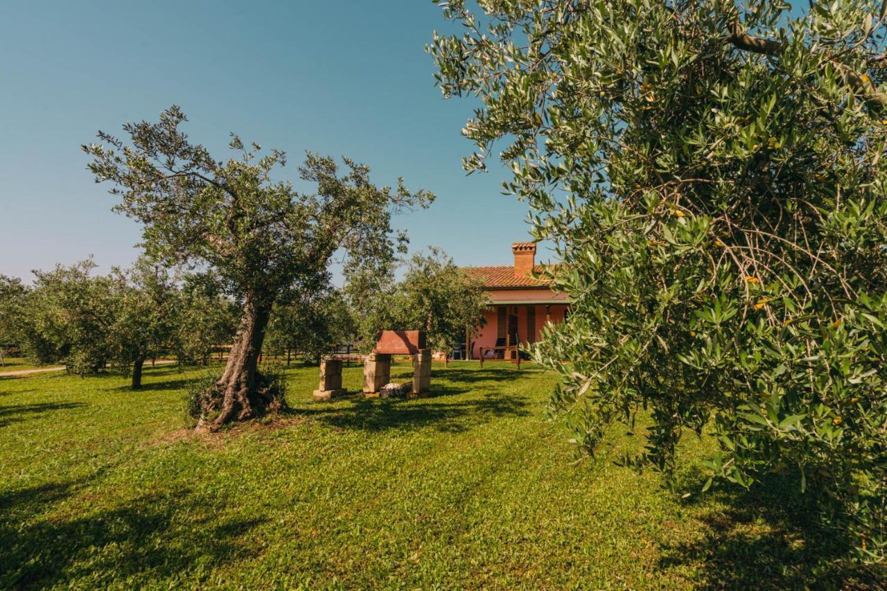 Agriturismo Il Laghetto Villa Grosseto Exterior photo